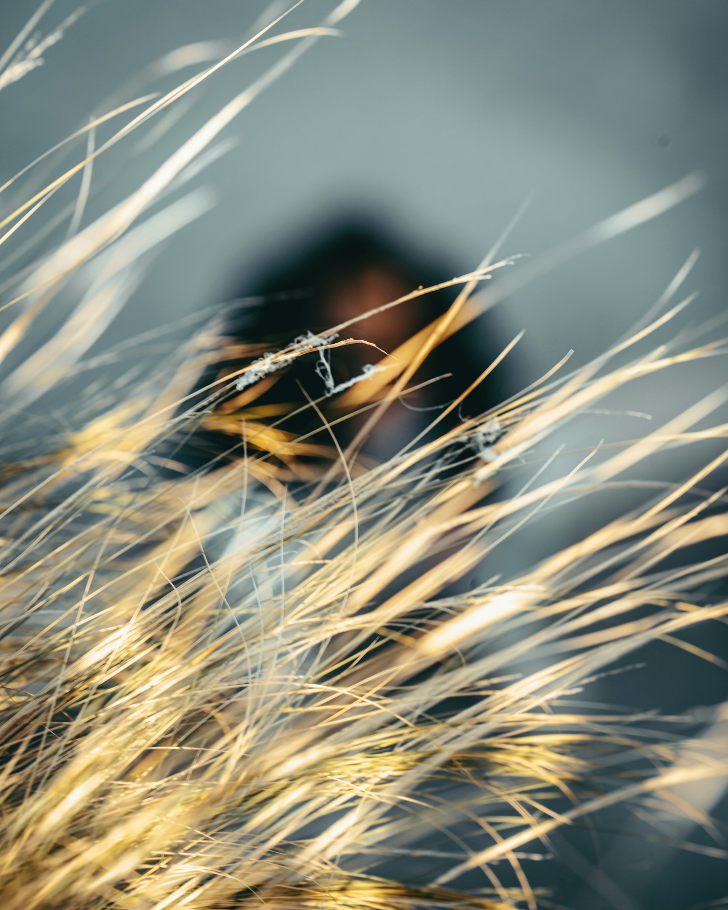 featured-image-1
